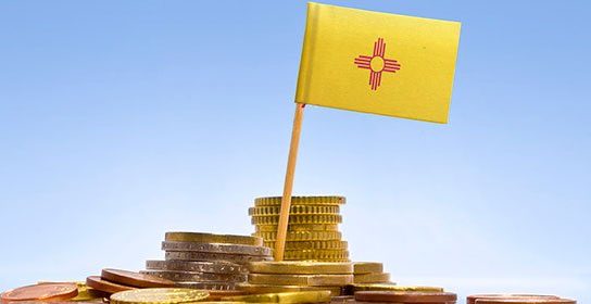 nm flag with coins