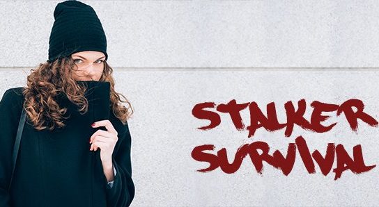 stalker survival banner