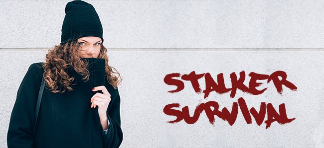 stalker survival banner