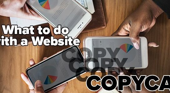 Website Copycat Banner