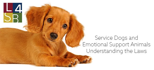 Service Dogs and Emotional Support Animals Hero Image