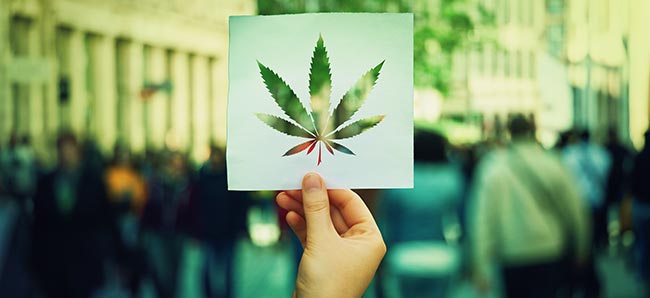 Can I Expunge a Cannabis Conviction in New Mexico, Now That It Is Legal?