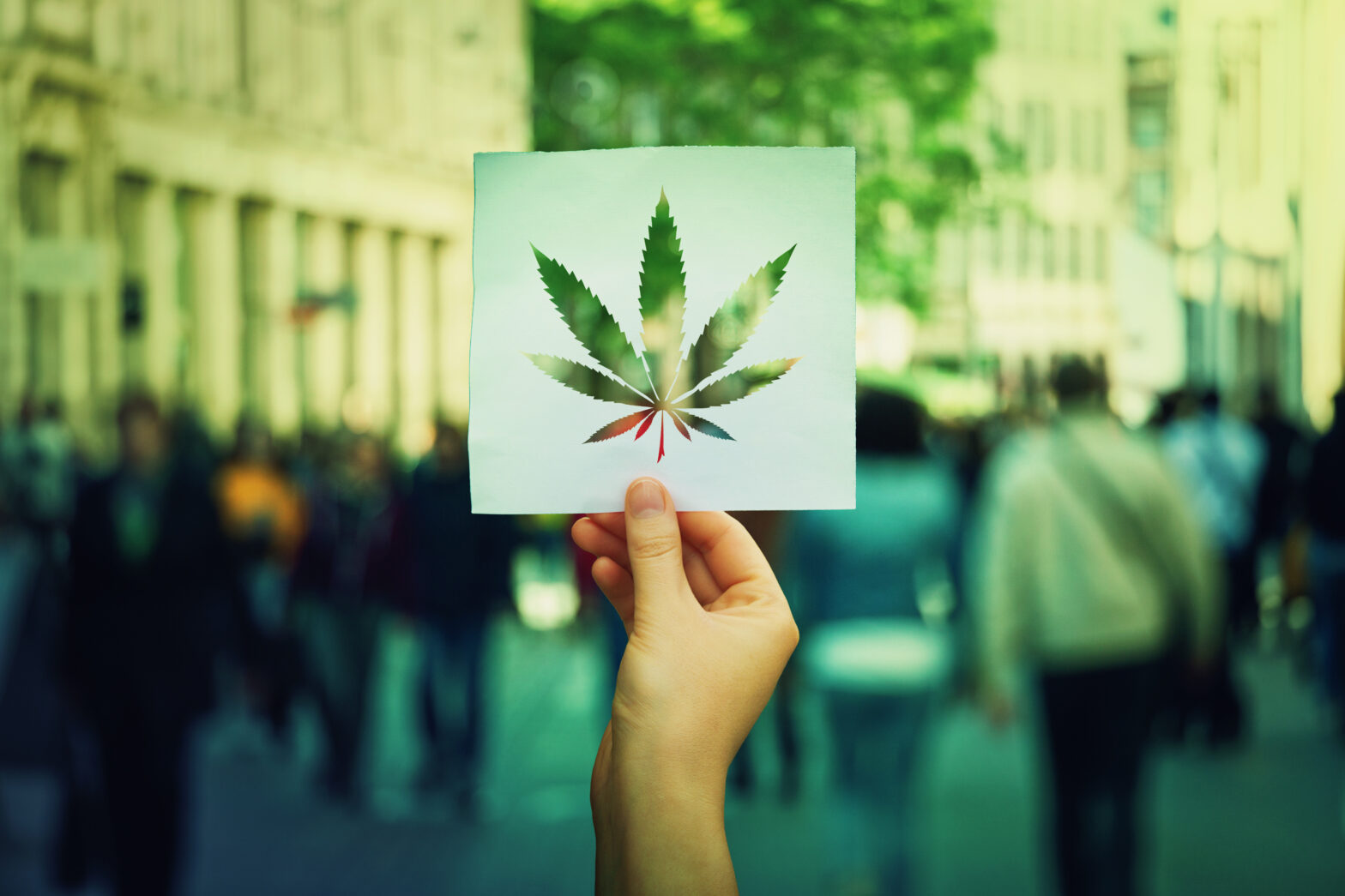 Hand,Holding,A,Paper,Sheet,With,Marijuana,Leaf,Symbol,Over