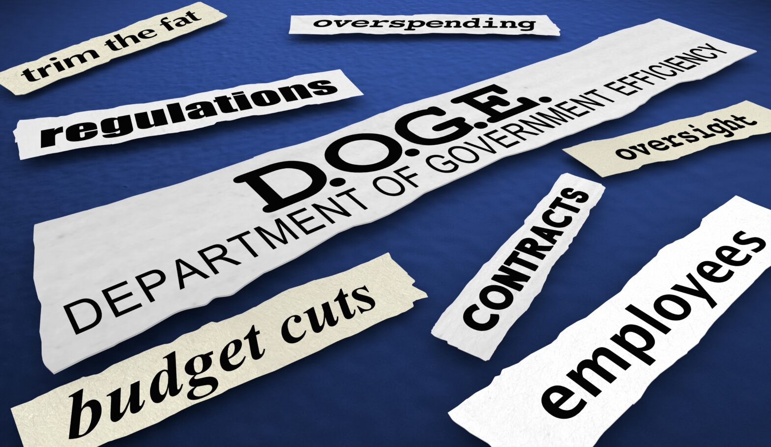 Doge,News,Headlines,Department,Of,Government,Efficiency,Cut,Spen